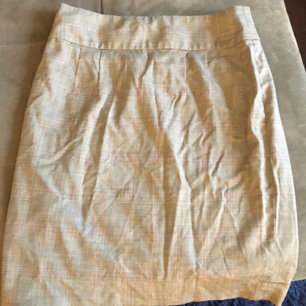 Professional skirt